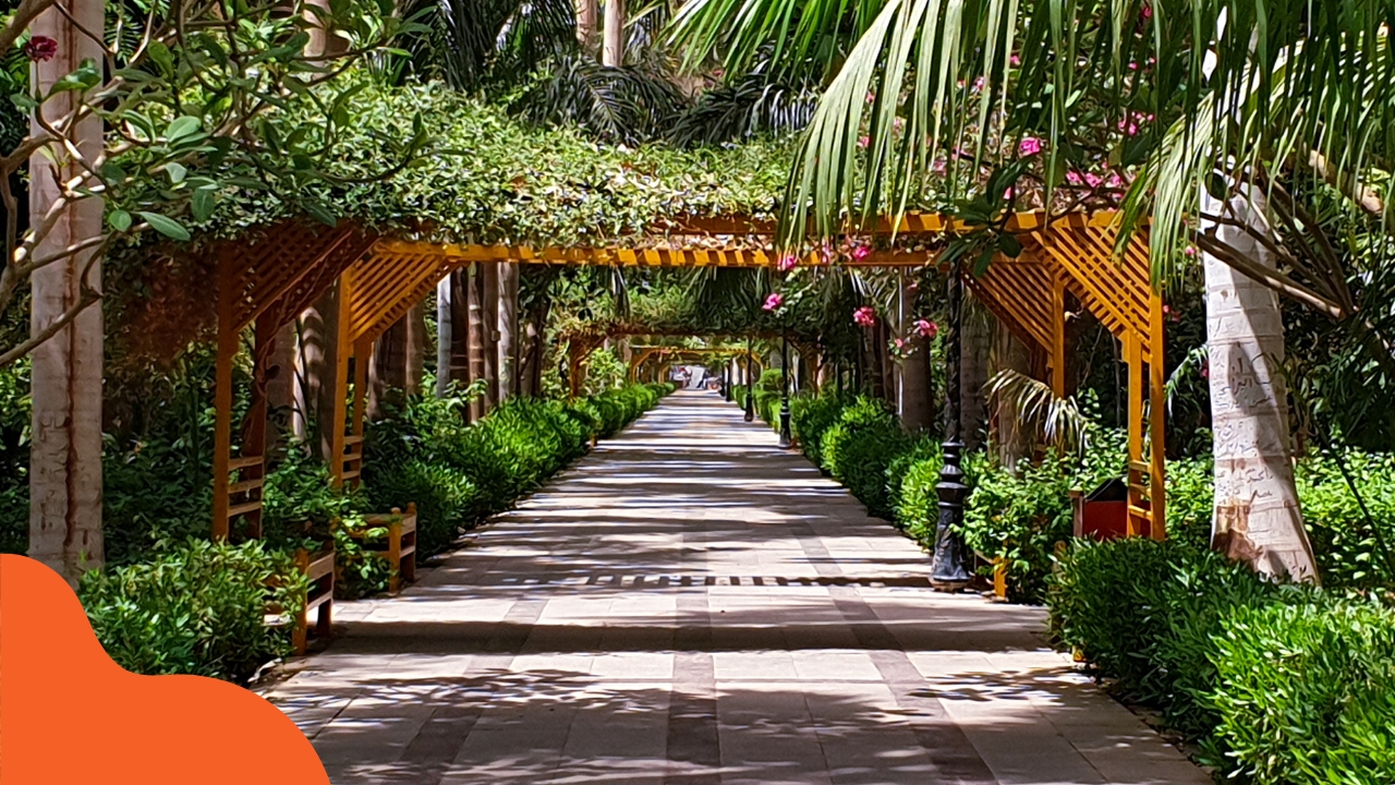 Ogrody Kitchener w Asuanie