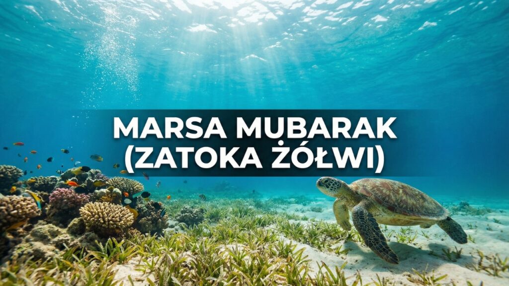 Marsa Mubarak (zatoka z żółwiami)